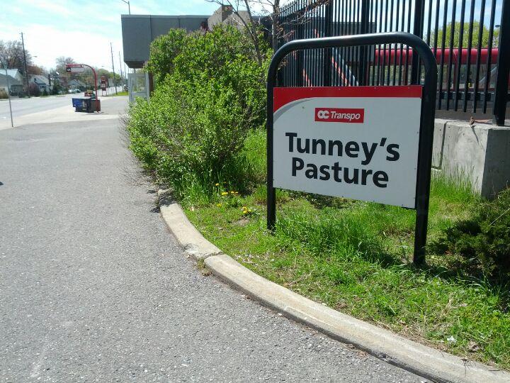 Tunney's Pasture a