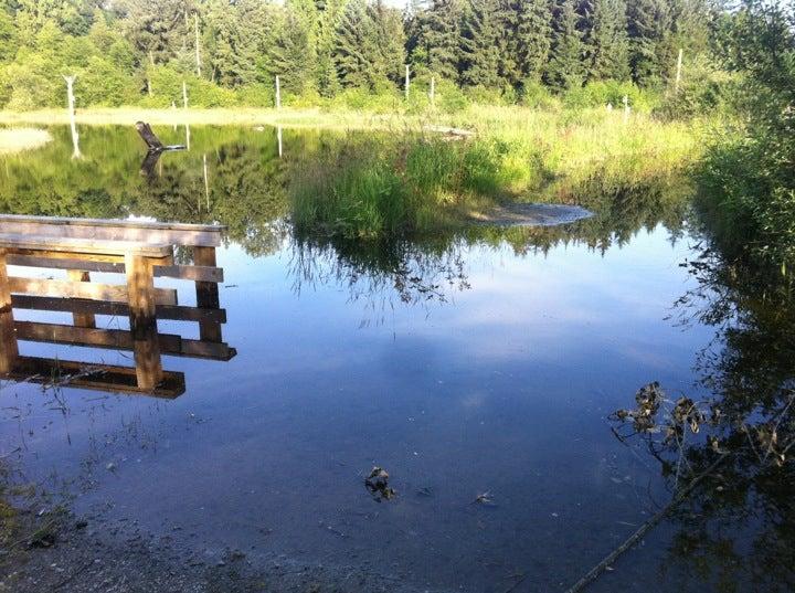 Silverdale Creek Wetlands