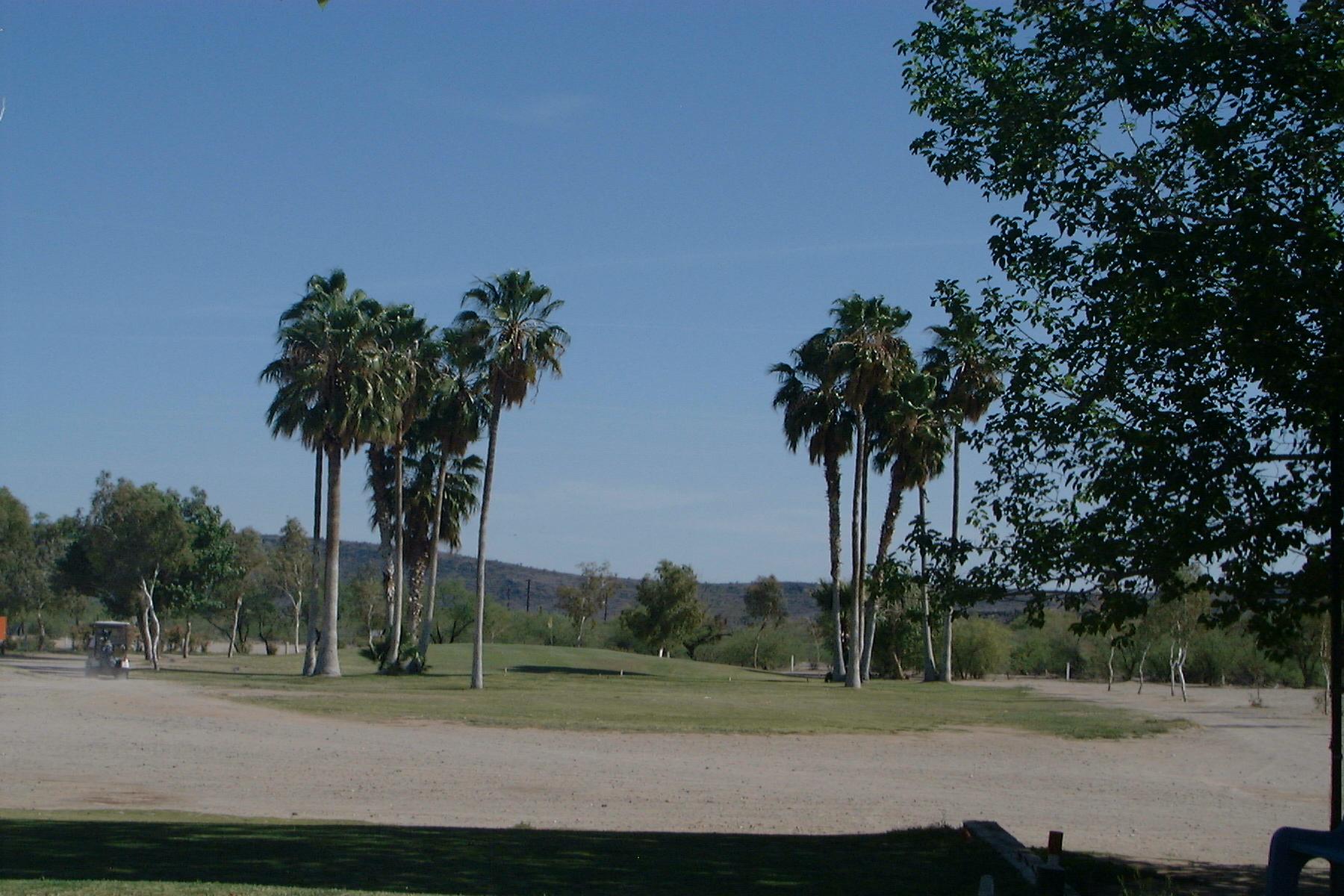 Ajo Country Club Golf Course