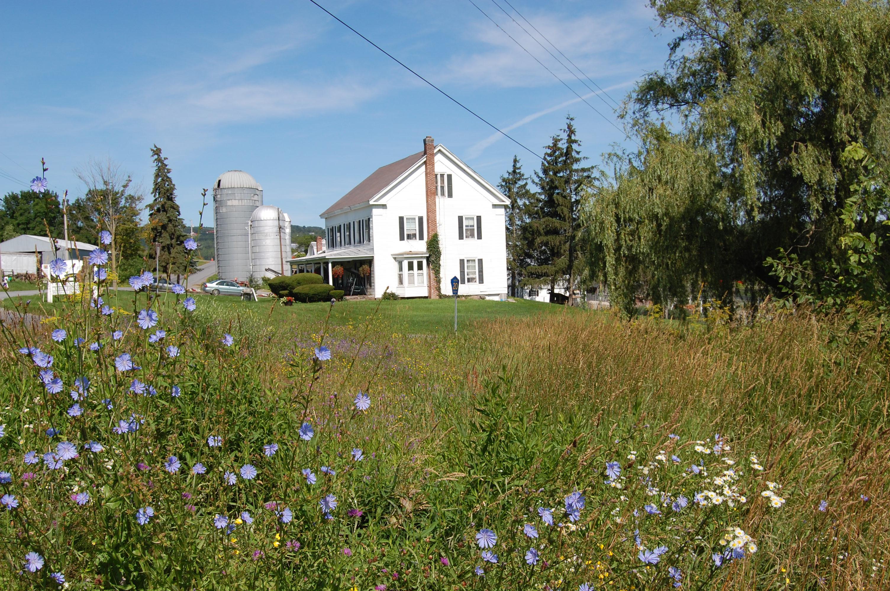 Hull-O Farms