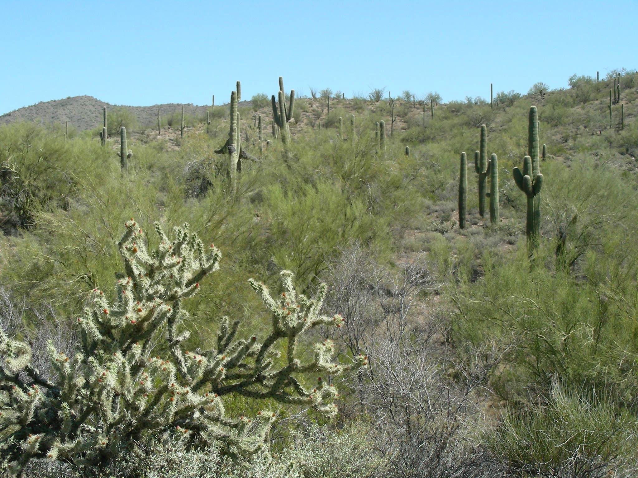 Arizona Territorial Adventures