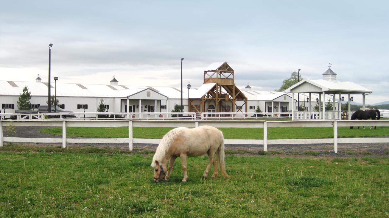 Hermitage Hill Farm and Stables