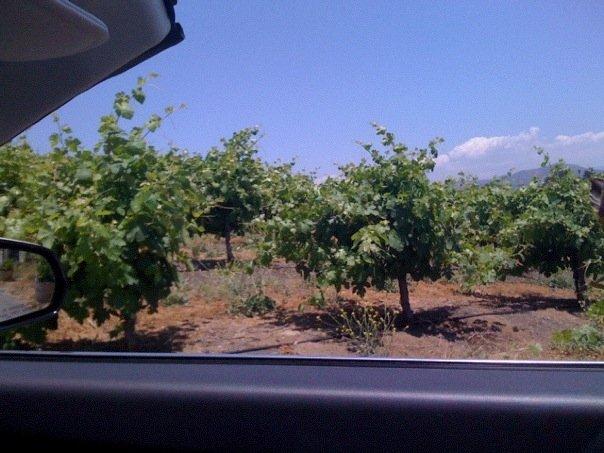 Temecula Valley Jeep & Wine Tours