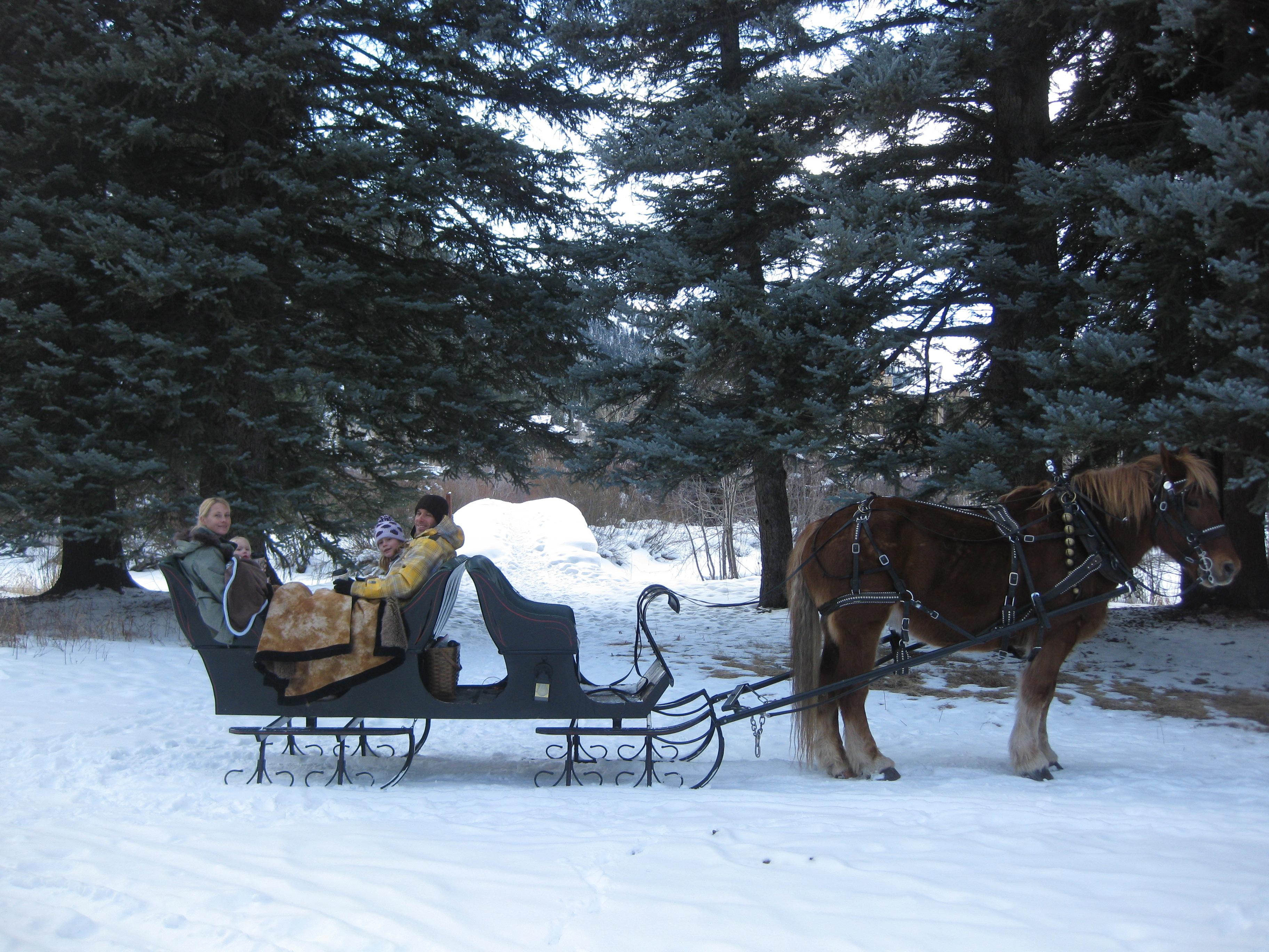 Aspen Carriage and Sleigh