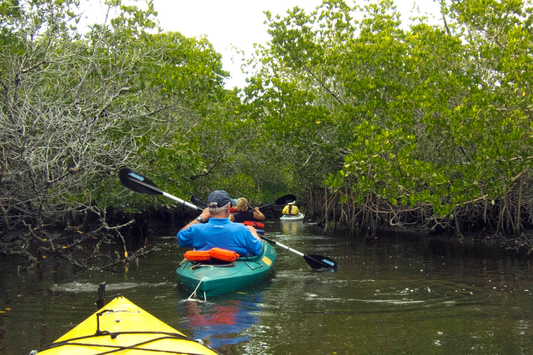 GAEA Guides - Guided Kayak Nature Tours