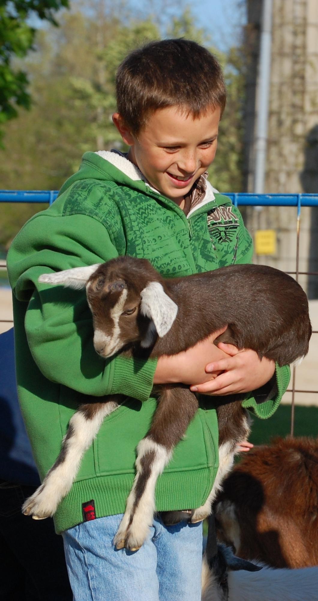 Mulberry Lane Farm