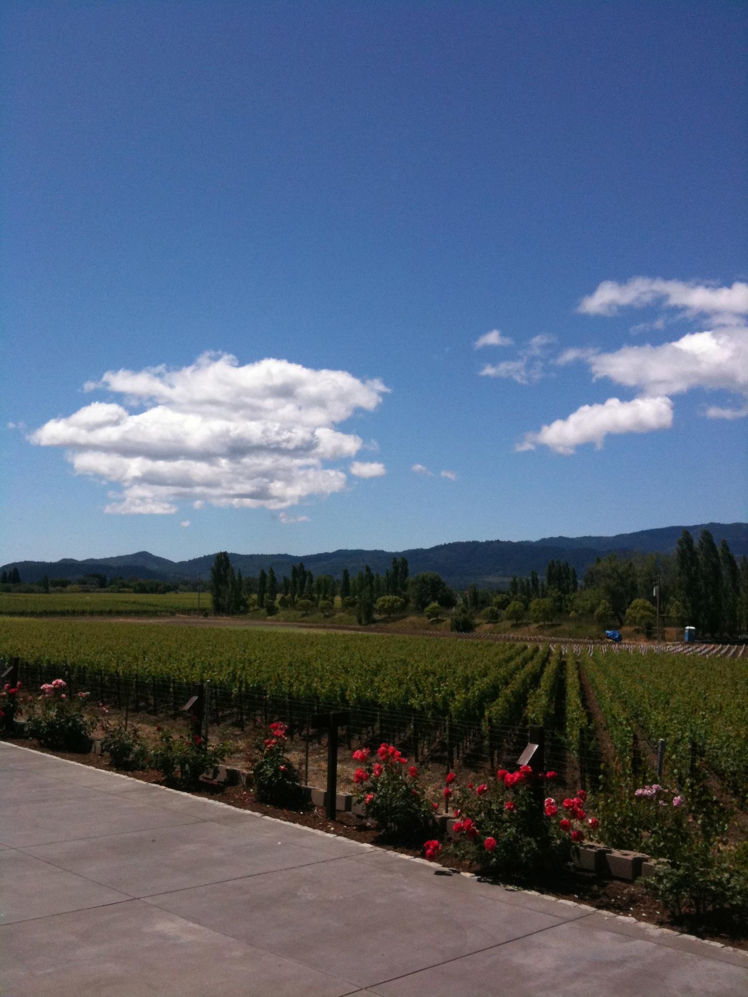 Napa Native Wine Tours