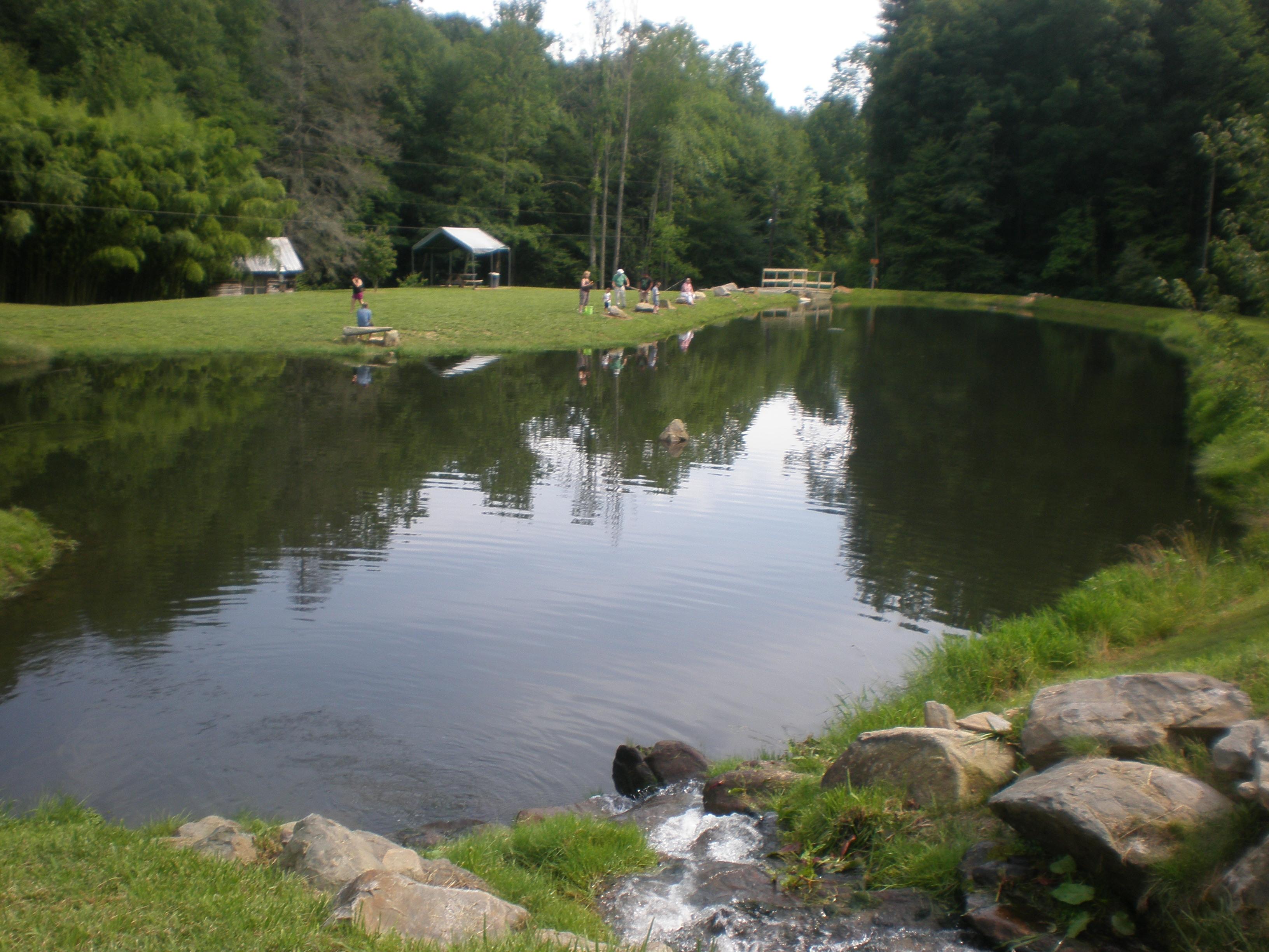 Cooper Creek Trout Farm