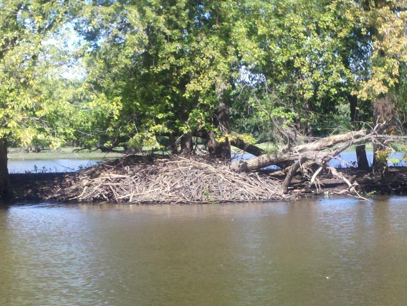 Mississippi Explorer Cruises