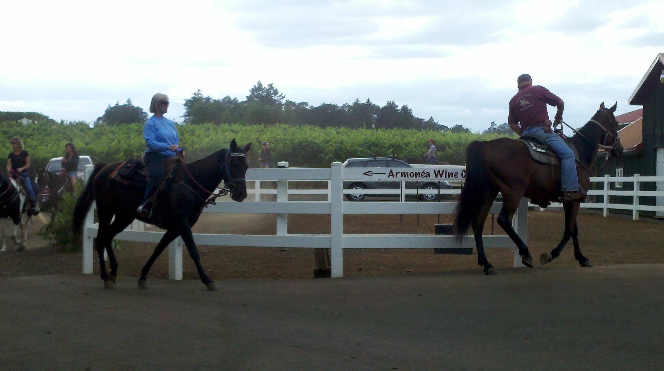 Equestrian Wine Tours