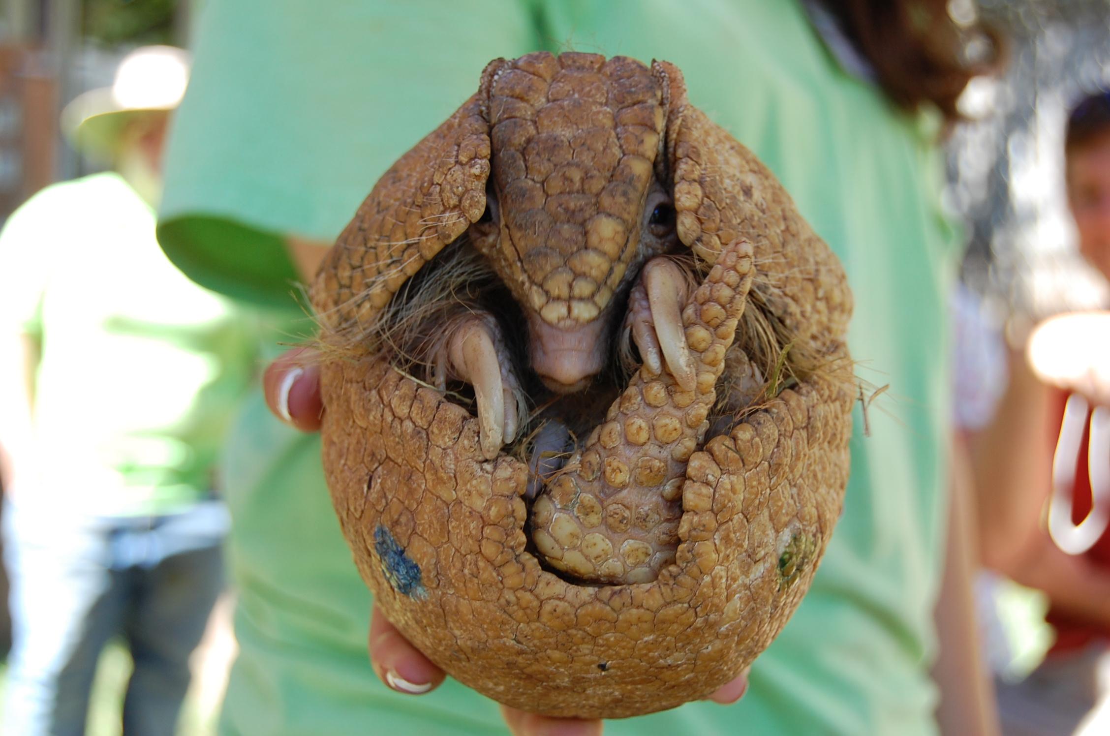 North Georgia Wildlife Park