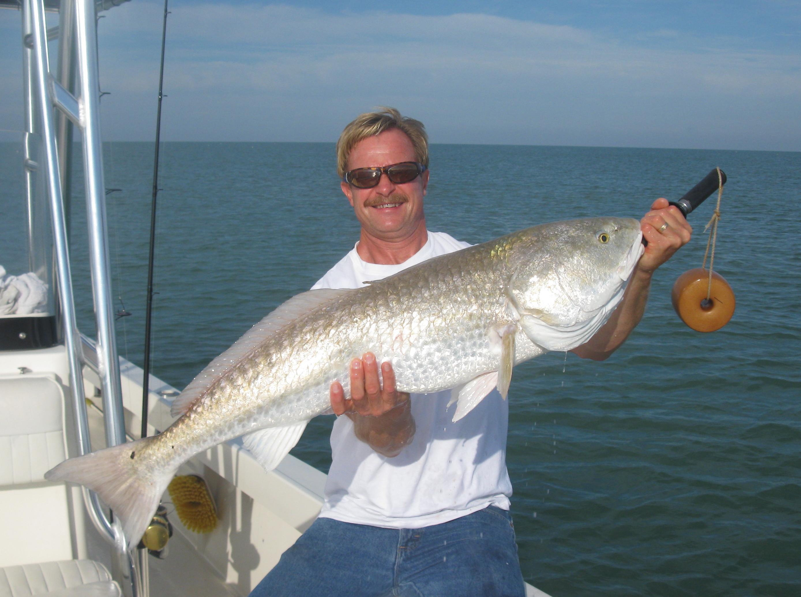 Gone Fishing Charters