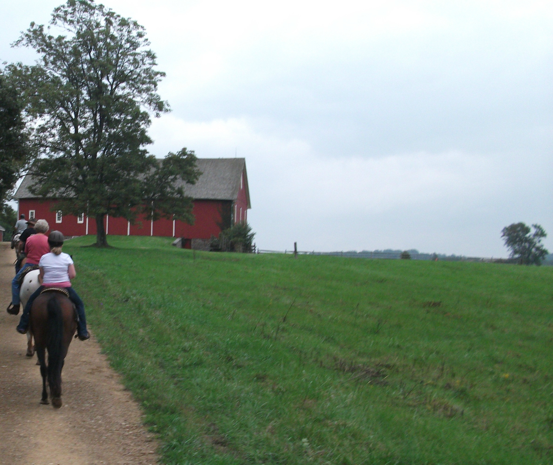 Hickory Hollow Horse Farm