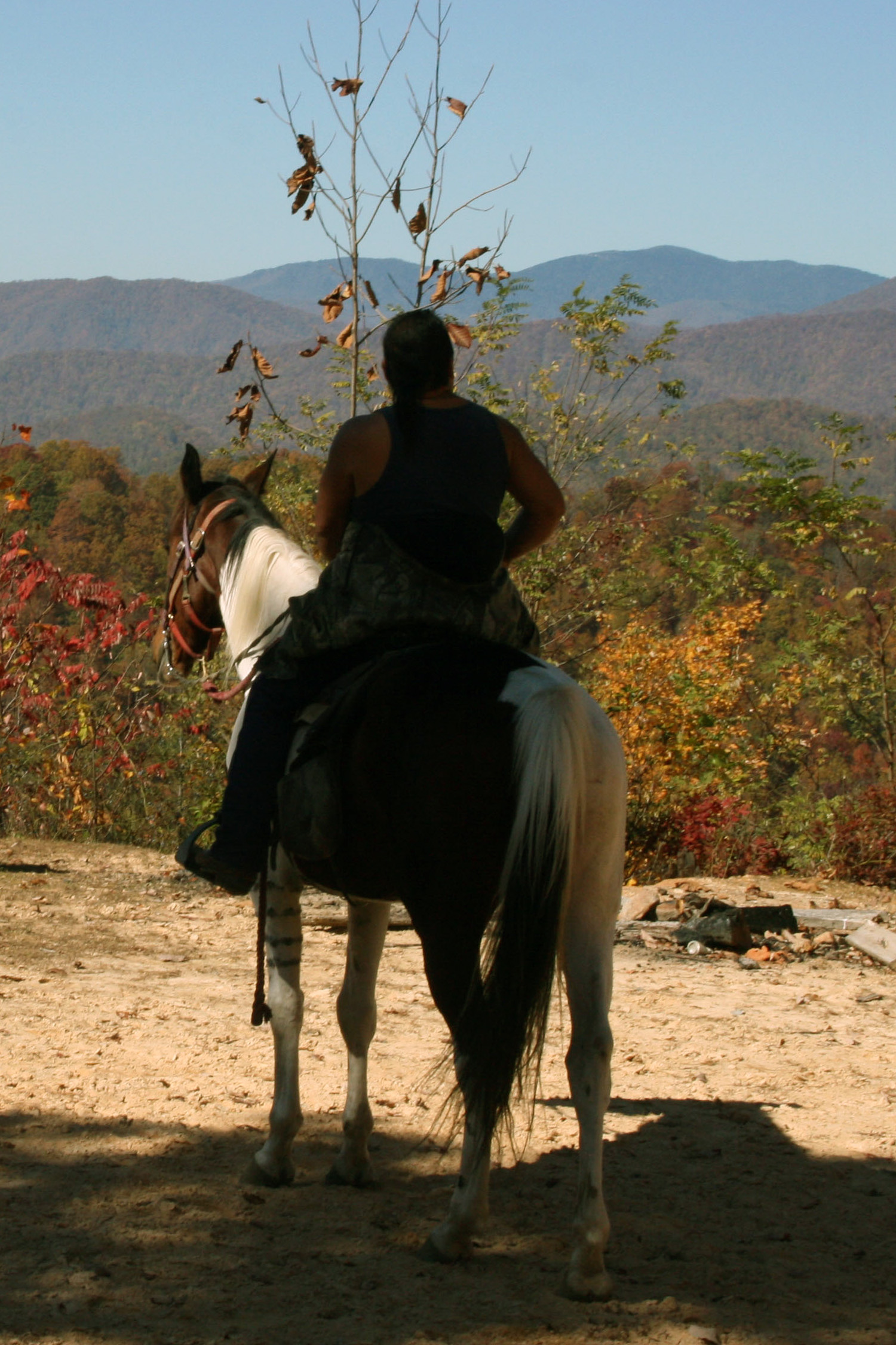 End of the Trail Horseback Riding