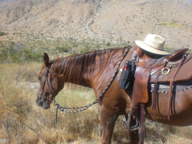 Crazy Horse Ranch