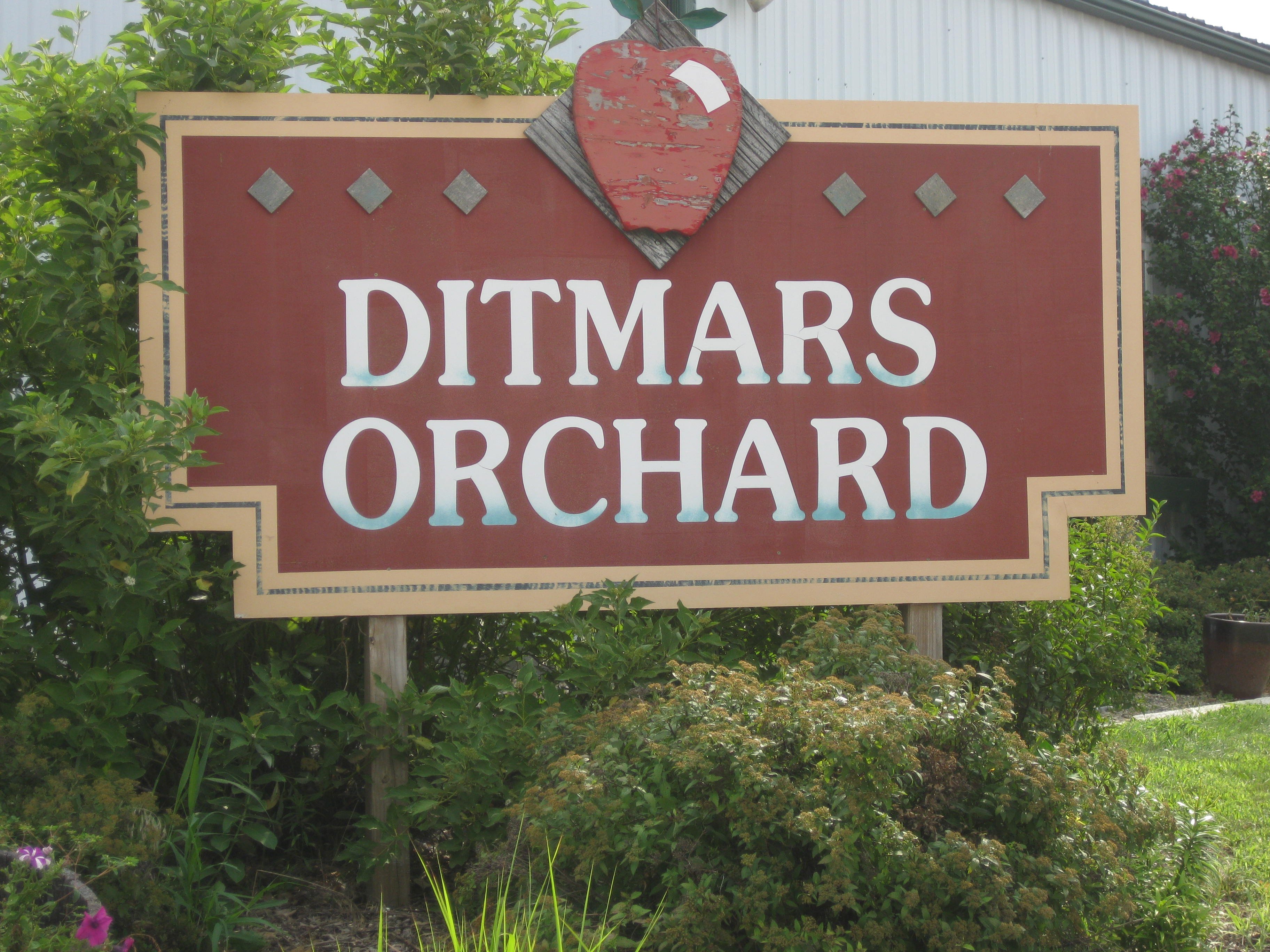 Ditmars Orchard