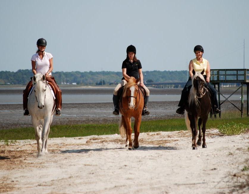 Camelot Farms