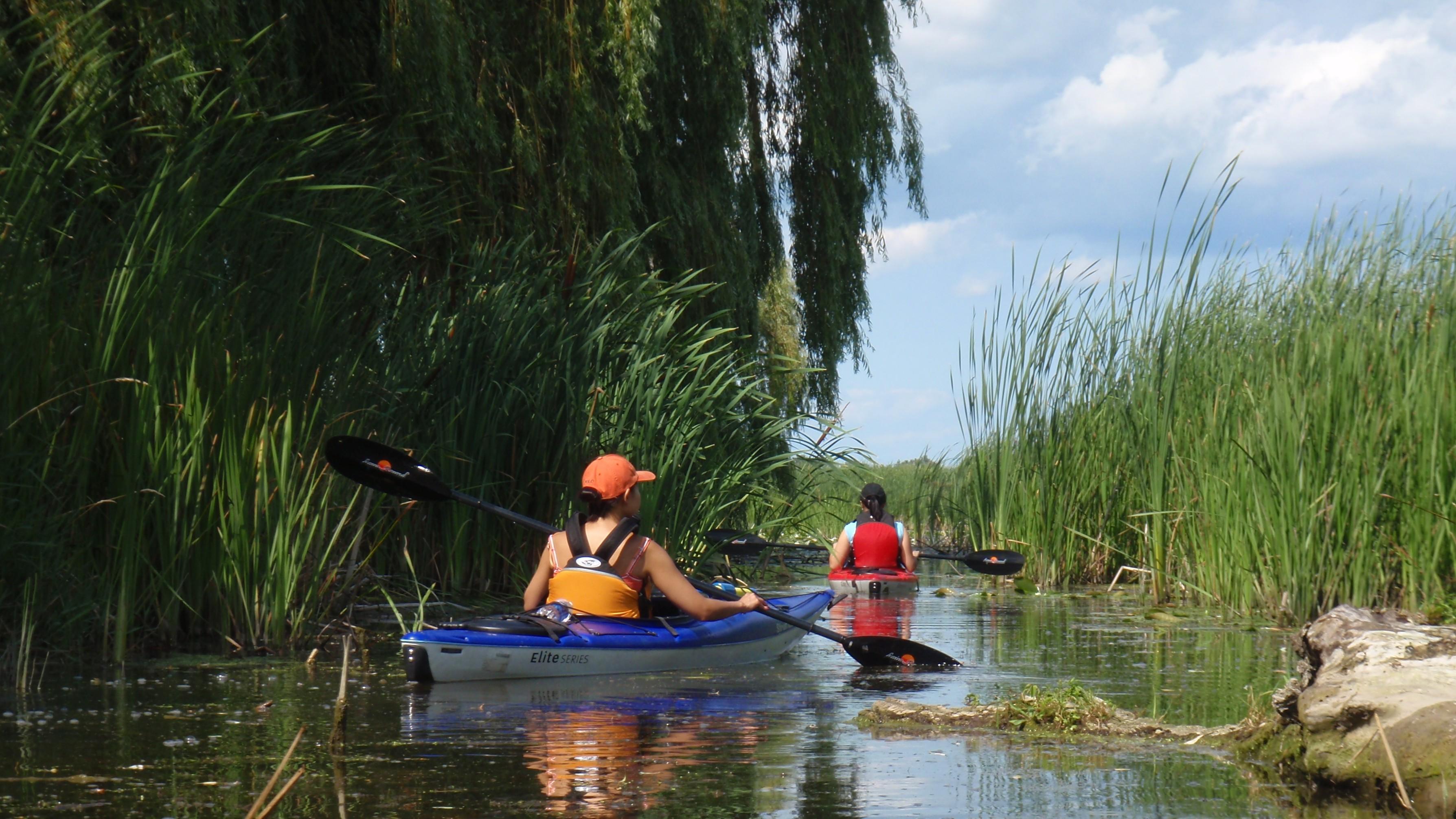 Grand River Kayak