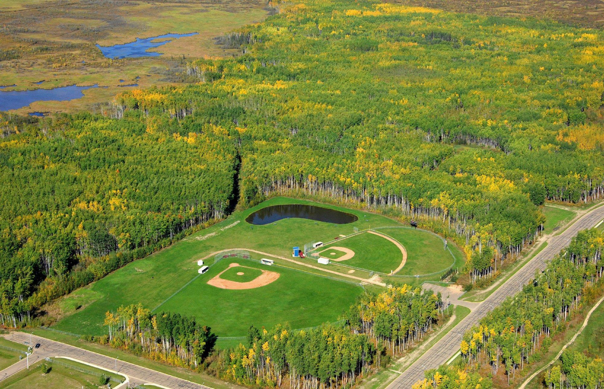 High Level Community Park