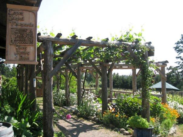 Lopez Island Vineyards