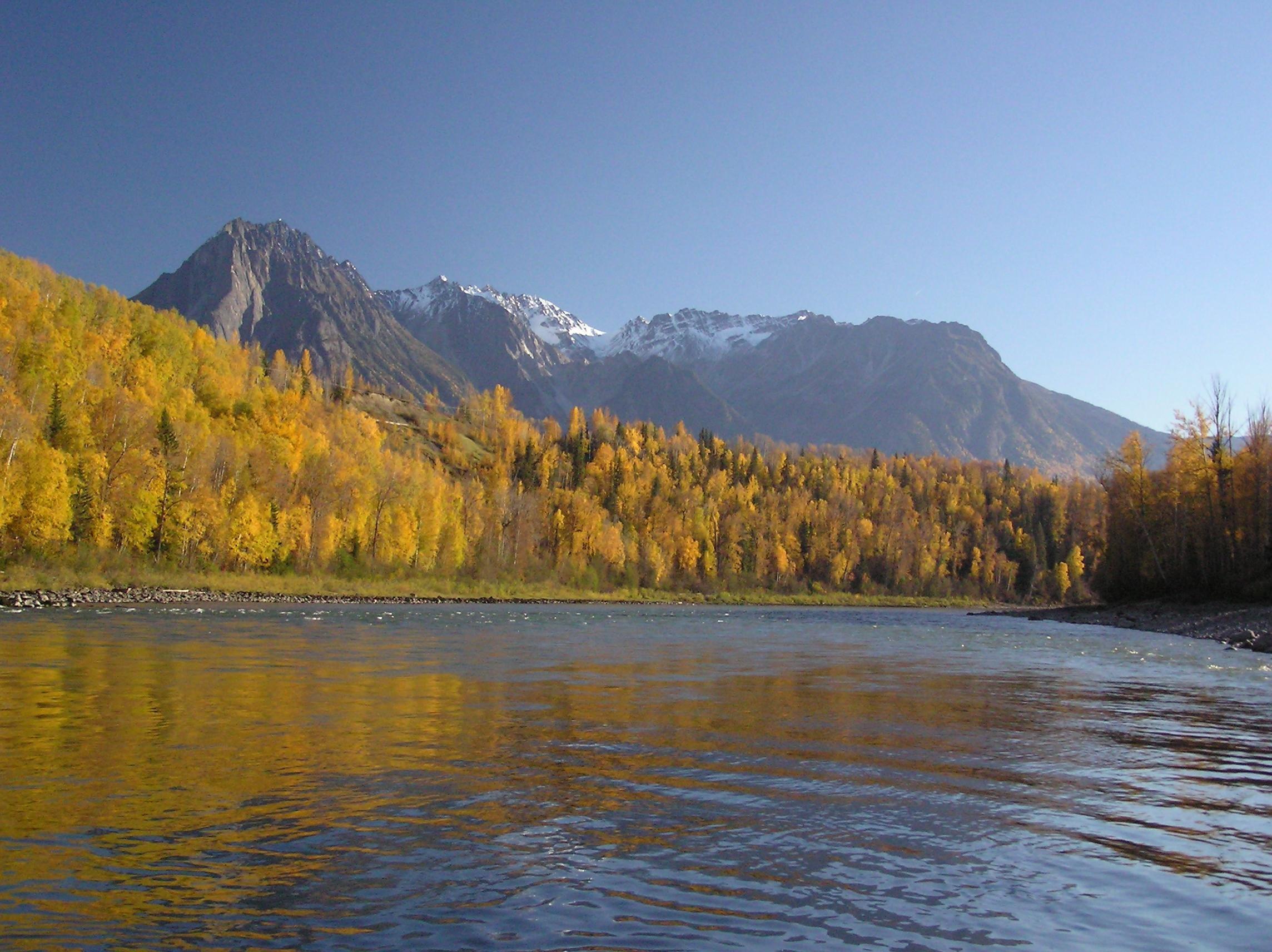 Skeena Wilderness Fishing Charters