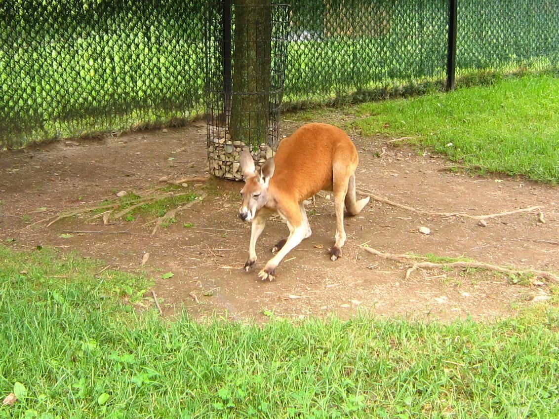 Lehigh Valley Zoo