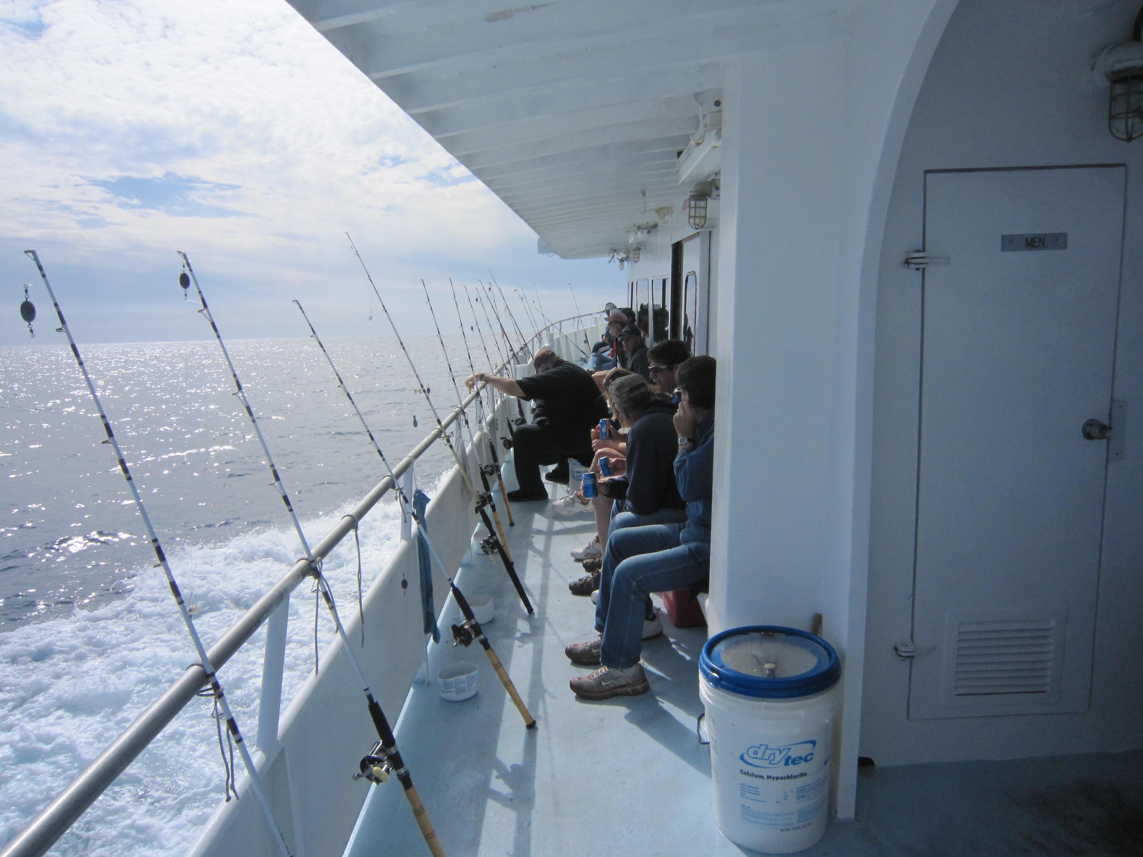 Dolphin Deep Sea Fishing