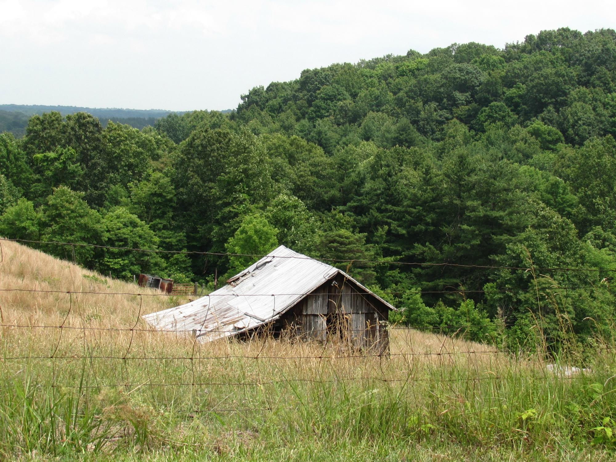 Zaleski State Forest