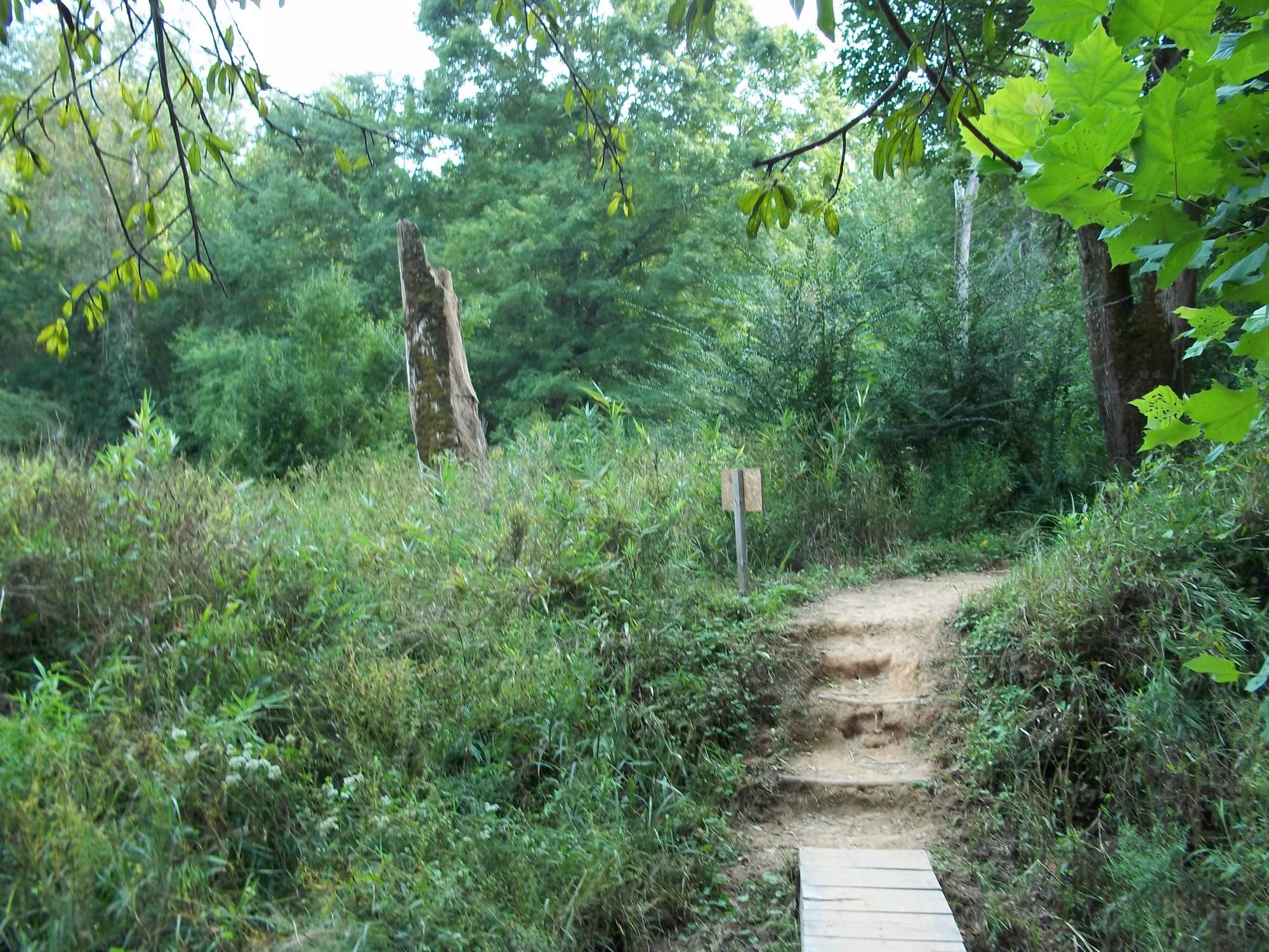 Chattahoochee Bend State Park