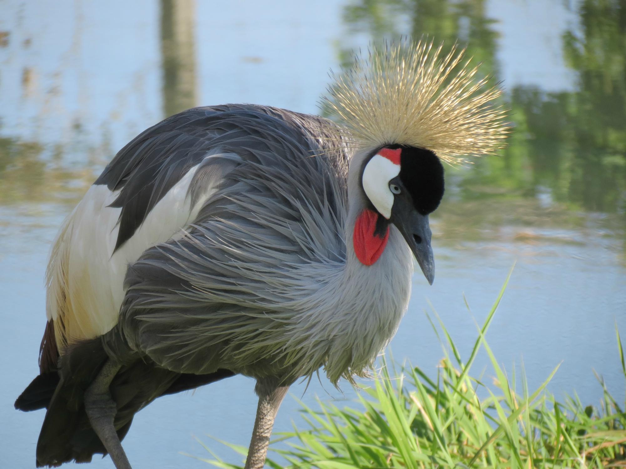 Hemker Park and Zoo