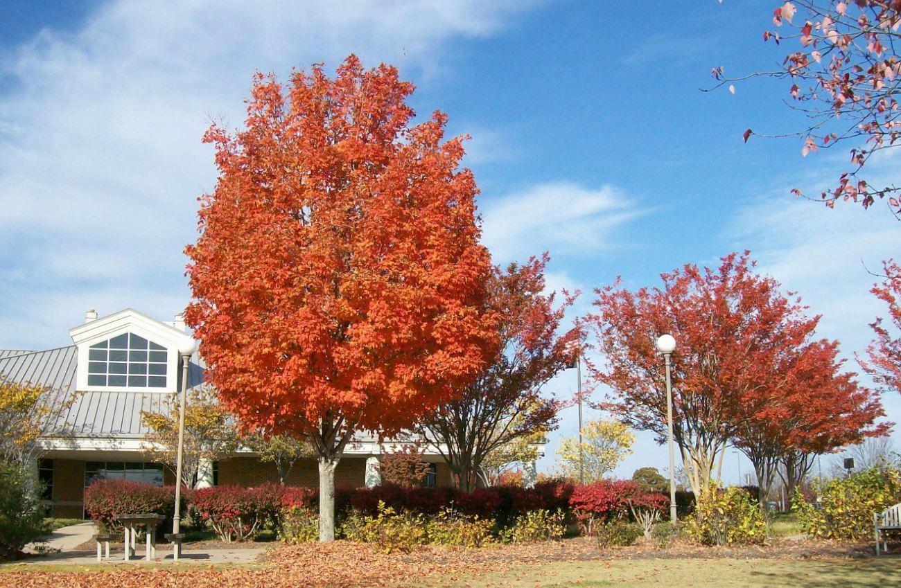 Georgia Welcome Center