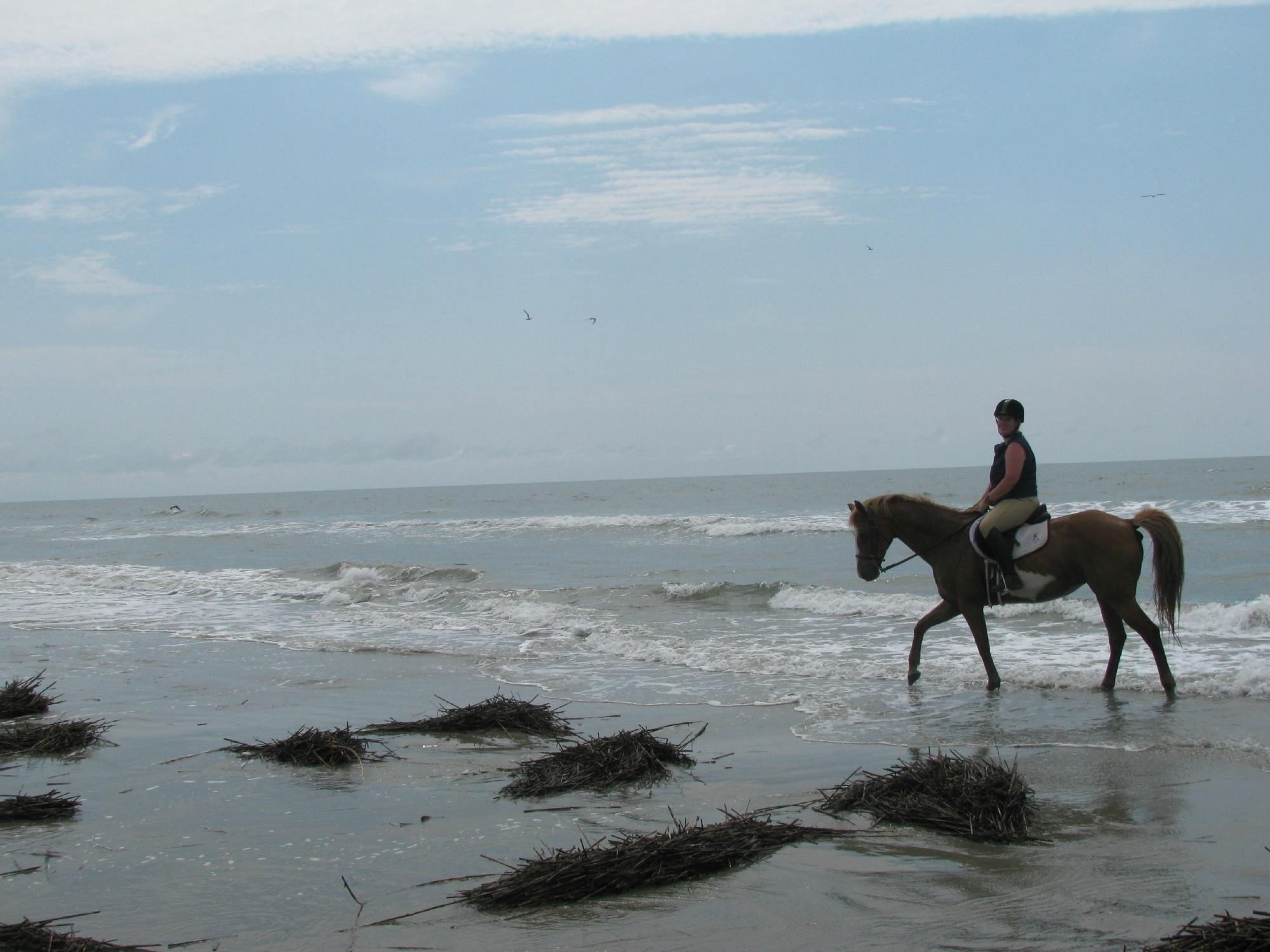 Seabrook Island Equestrian Center