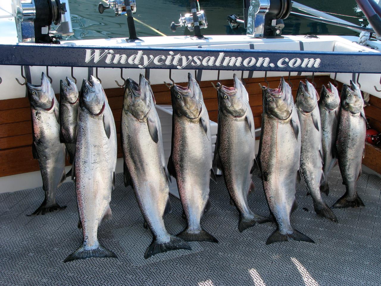 WindyCitySalmon