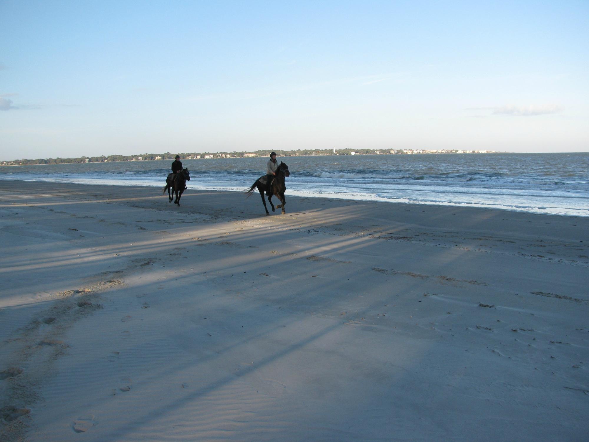 Golden Isles Carriage and Trail at Three Oaks Farm