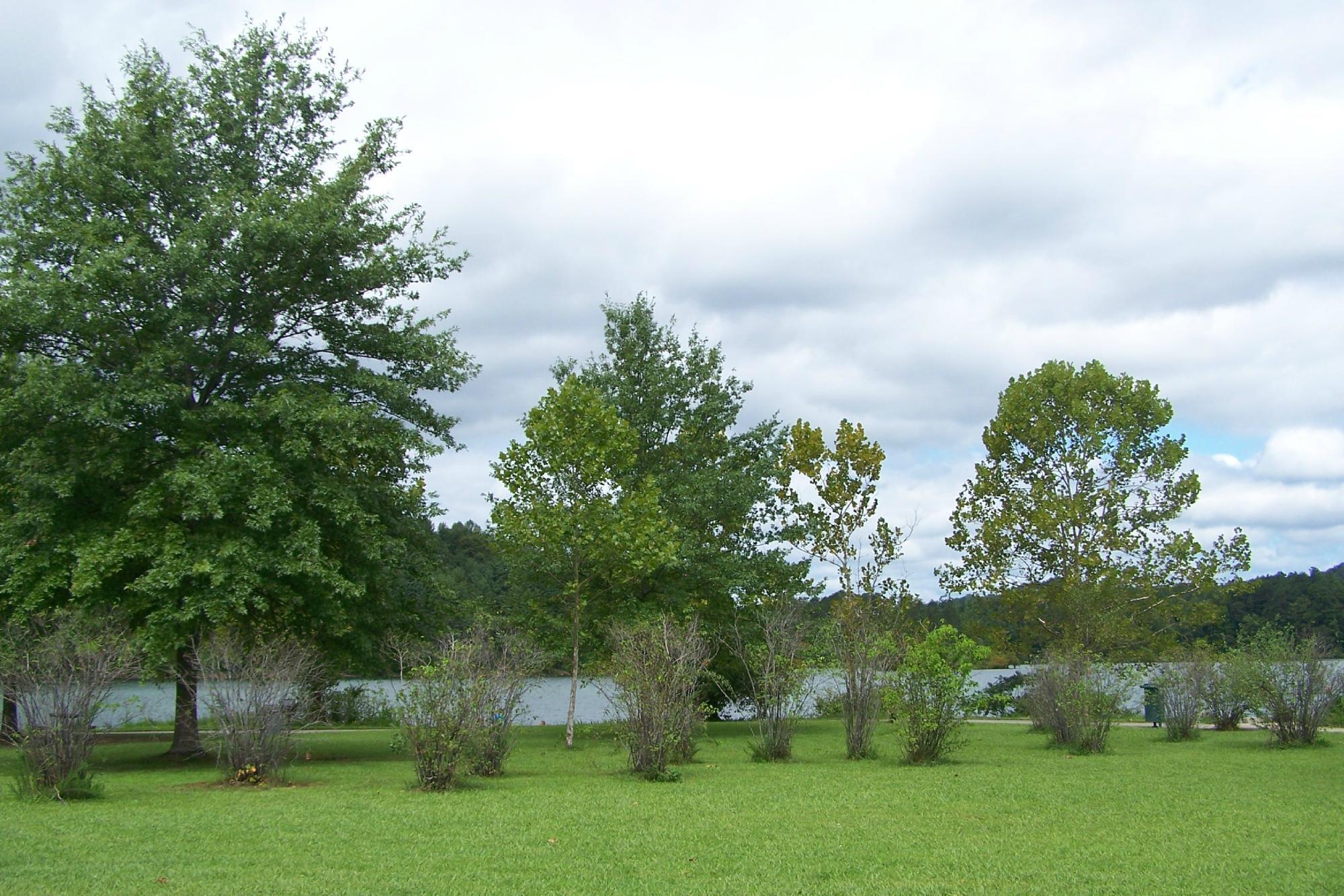 Paintsville Lake State Park