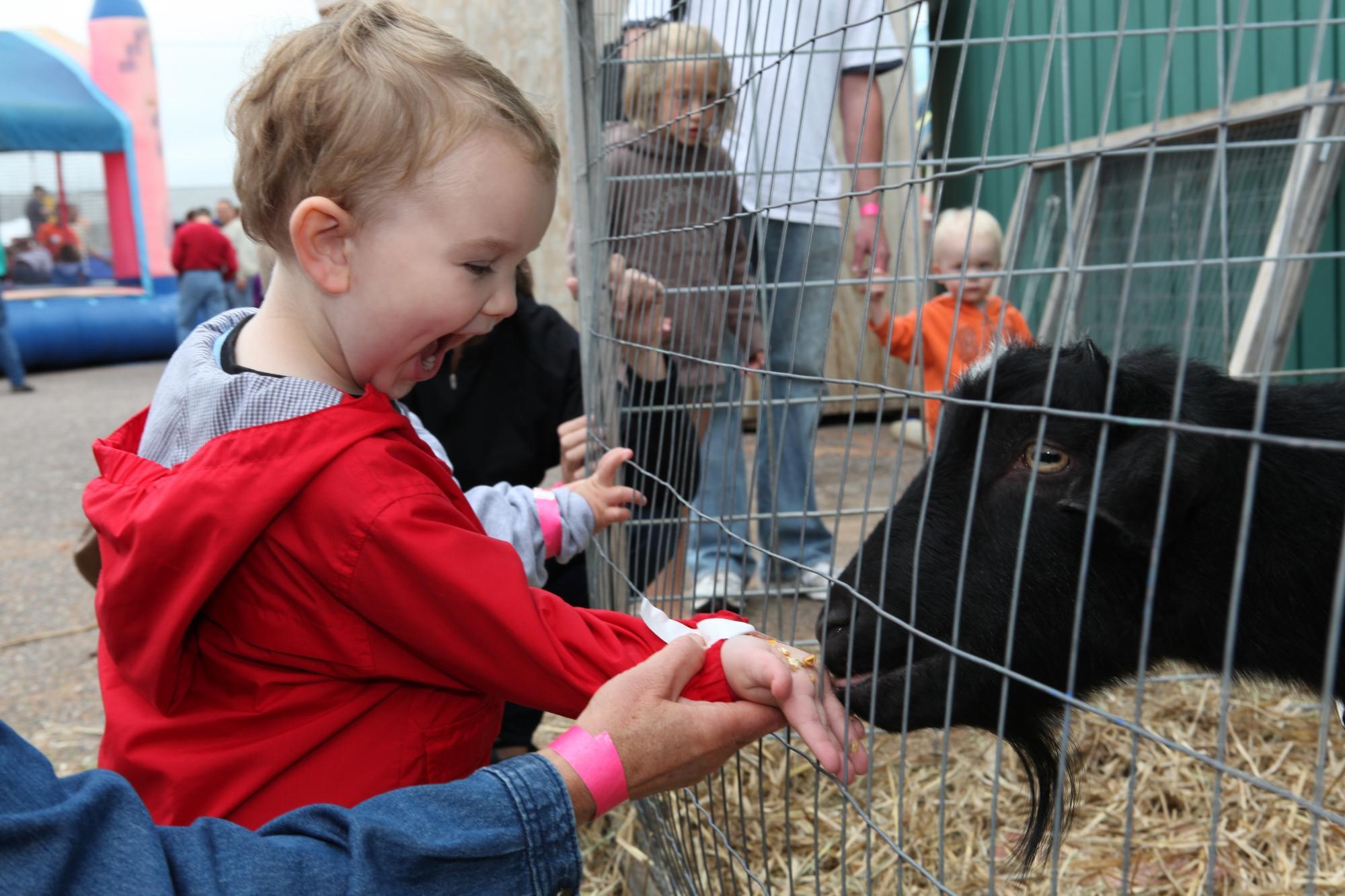 Northwoods Childrens Museum