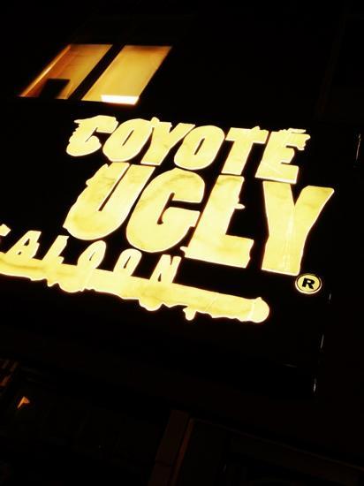 Coyote Ugly