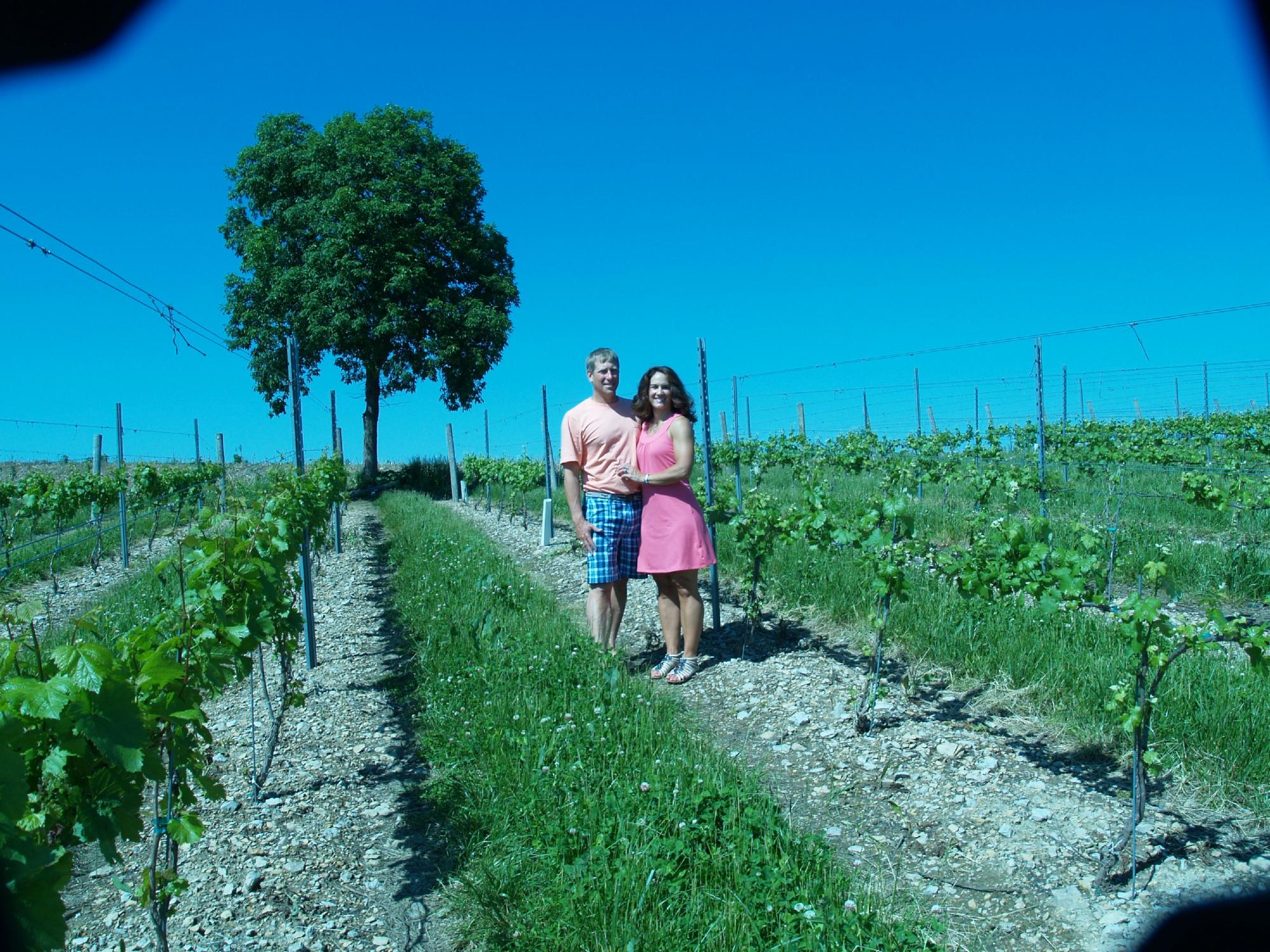 Fero Vineyards and Winery