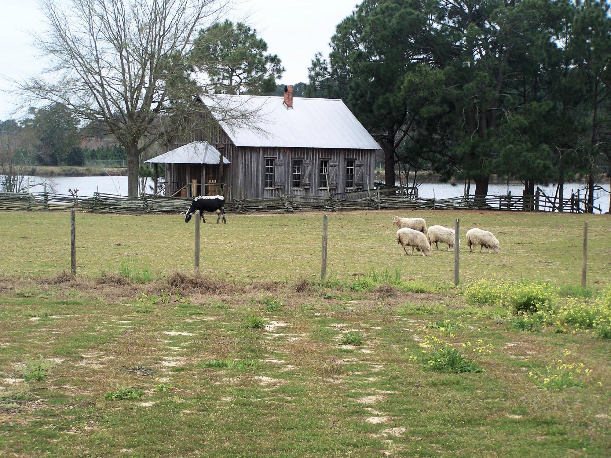 Georgia Museum of Agriculture and Historic Village