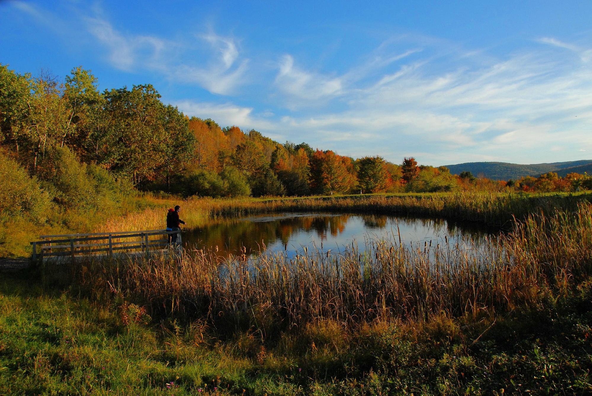 Tanglewood Nature Center