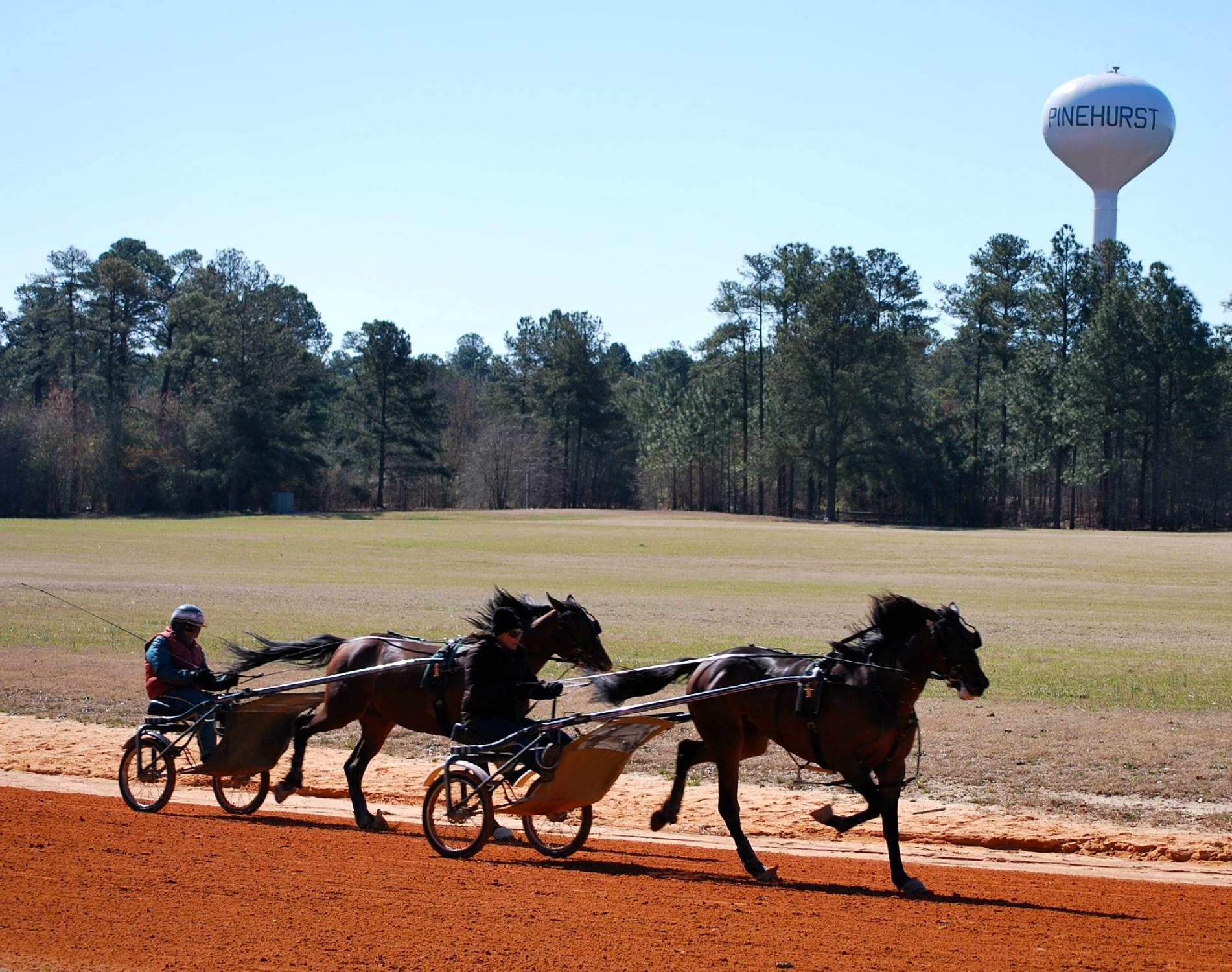 Pinehurst Harness Track