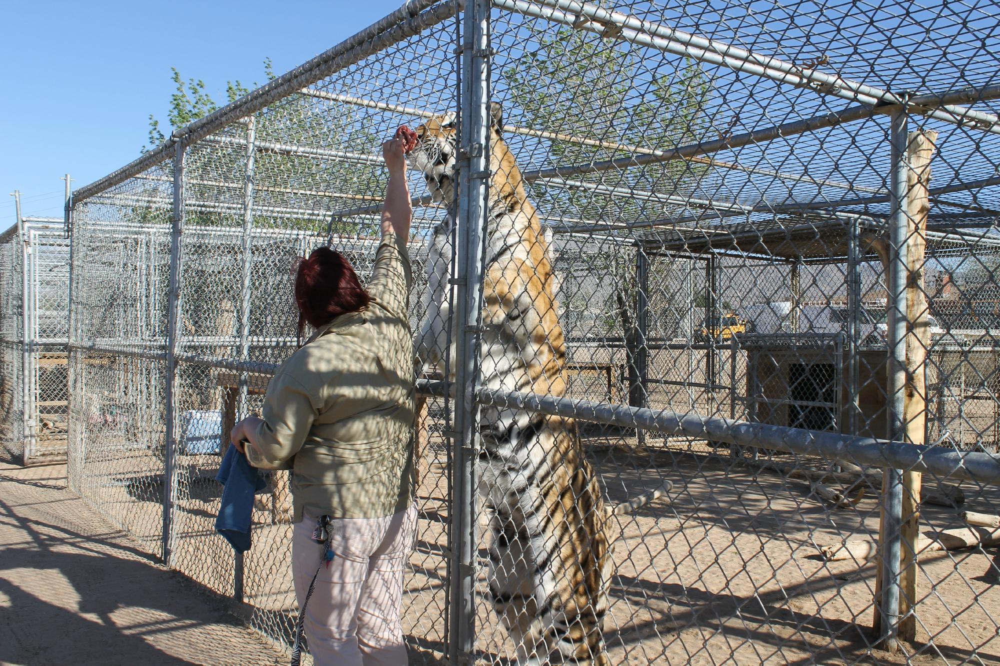 Hesperia Zoo