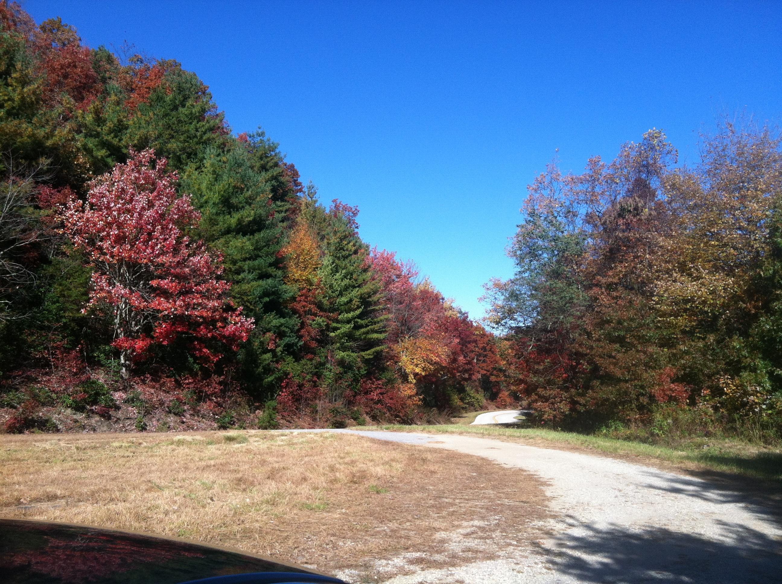 Russell-Brasstown National Scenic Byway