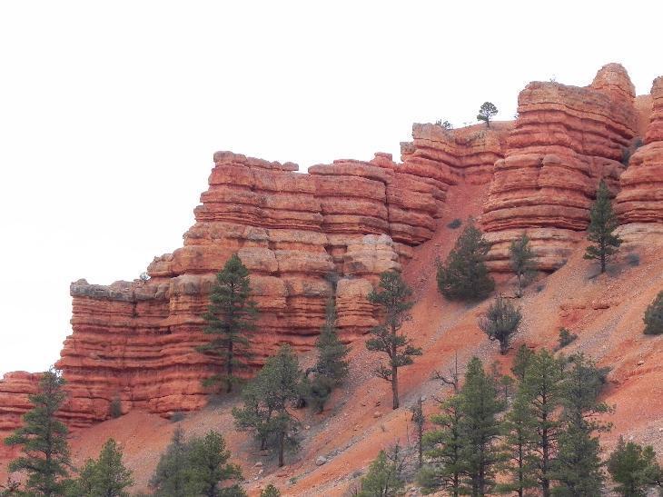 Red Canyon Trail Rides