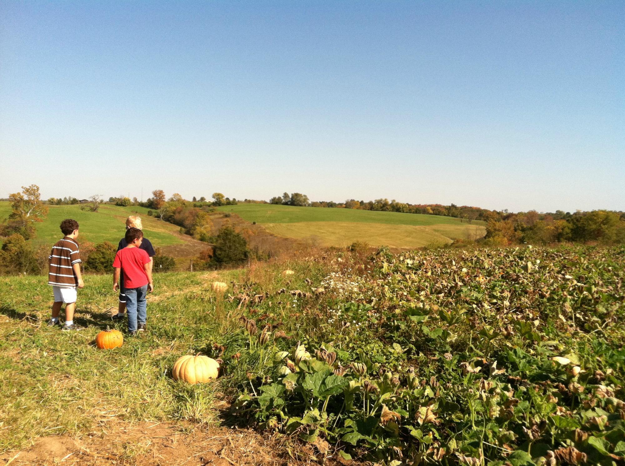 Baldwin Farms