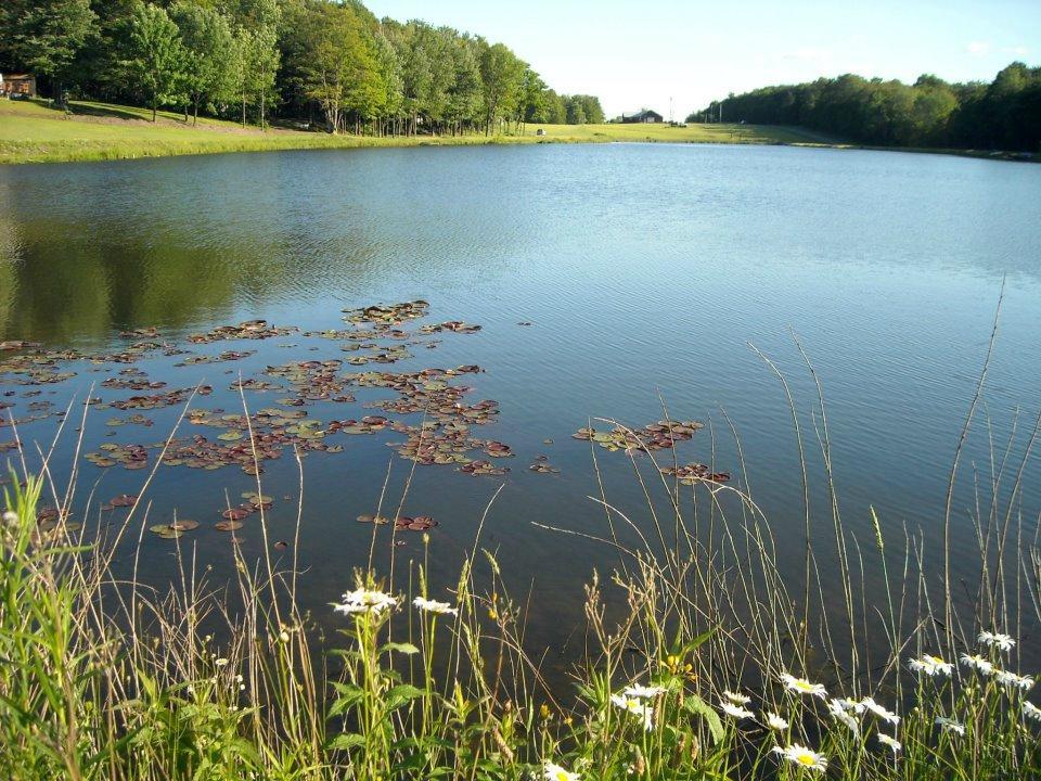 Forest Lake Campground