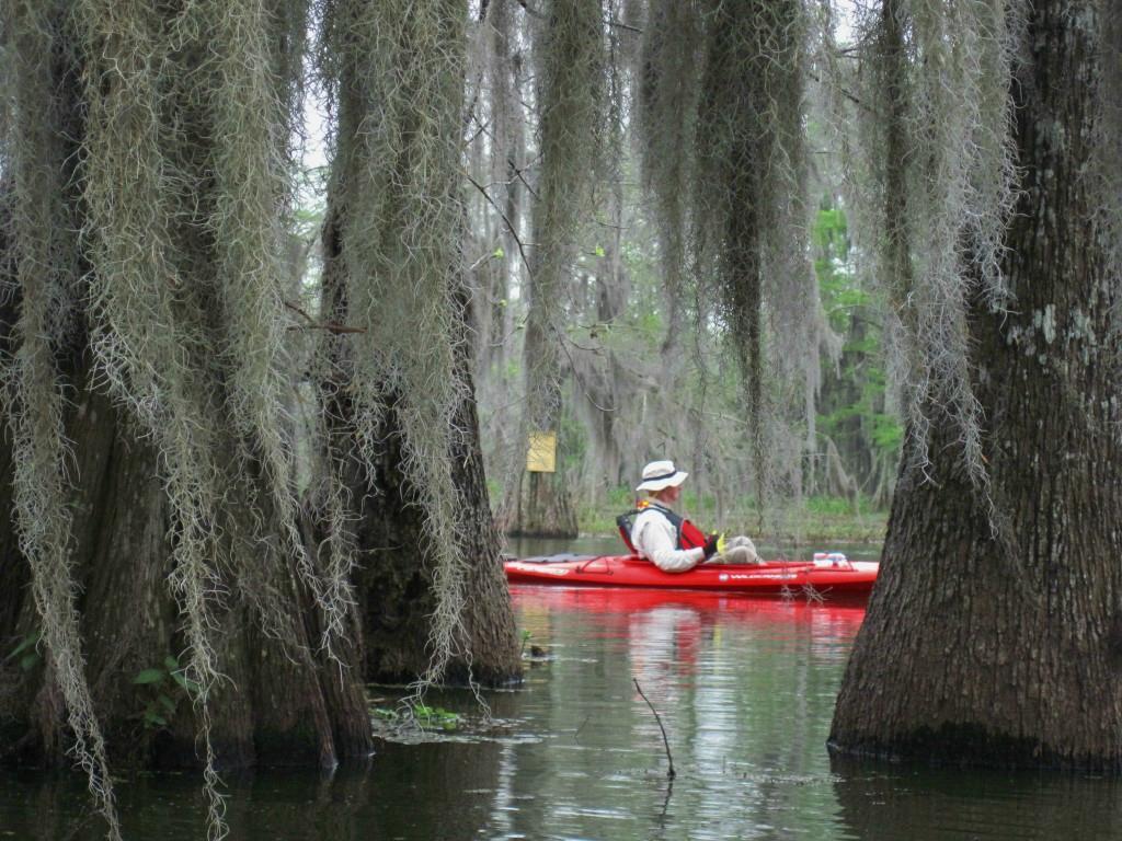 Bayou Teche Experience