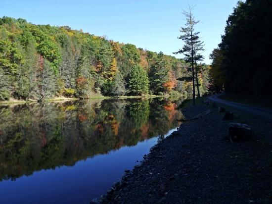 Seneca State Forest Campground