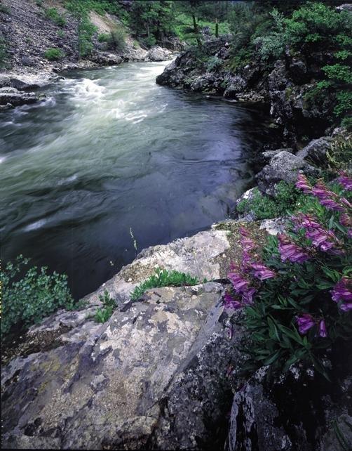 Solitude River Trips