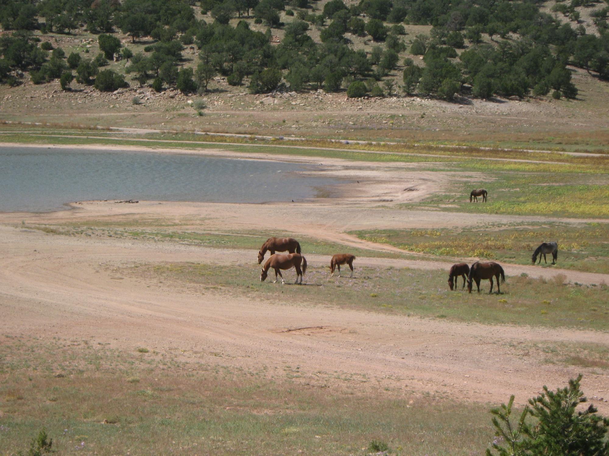 Bluewater Lake State Park